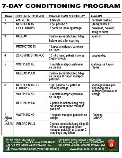 conditioning guide for cockfighting|Conditioning Program For Cockfighting.
